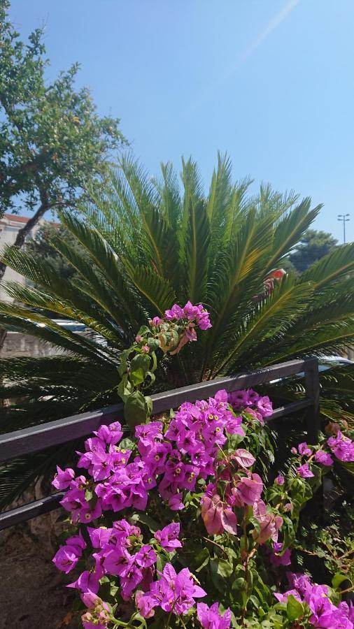 Apartments Rose Baska Voda Exterior photo